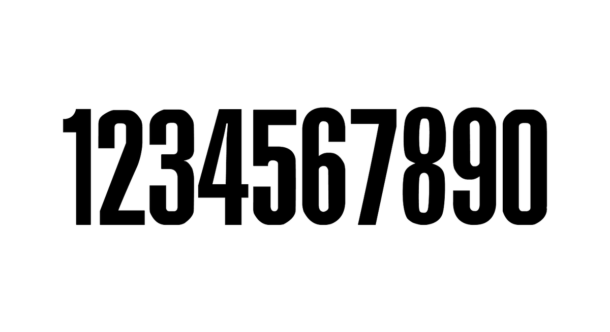 Race Plate Additional Number